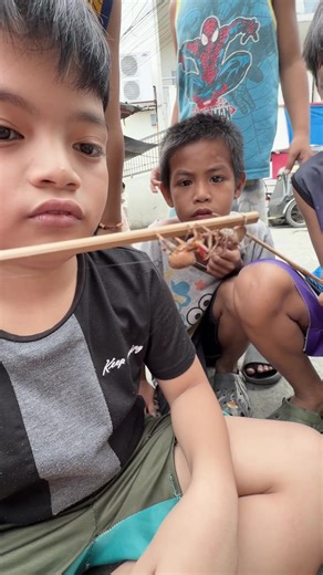 Spider Fight in the Philippines | spider