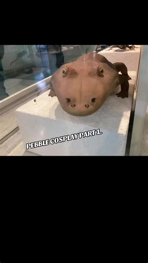 Creating Pebble Cosplay: Step-by-Step Guide