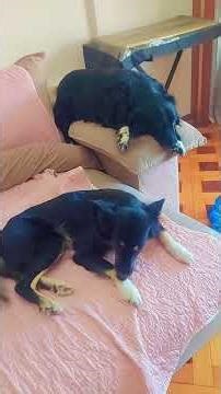 Only day of class this week!