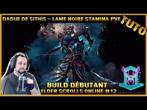 [tuto fr] Elder Scrolls Online : Build Lame noire stamina pve 2022