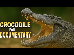 Extreme Survival | How Crocodiles Hunt | Crocodile Full Documentary