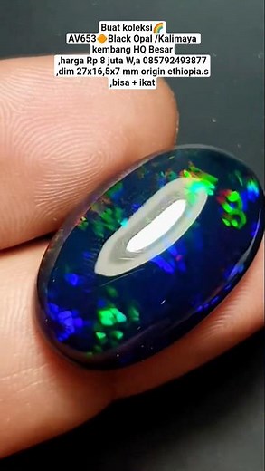 Buat koleksi🌈AV653🔶️Black Opal /Kalimaya kembang HQ Besar,harga Rp 8 juta W,a 085792493877,dim 27