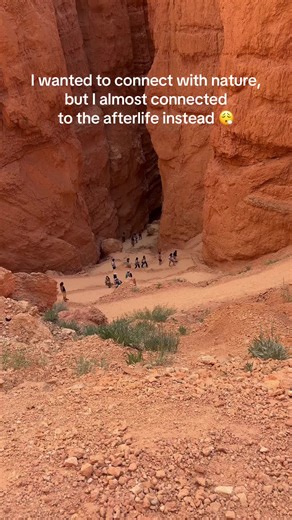 Them switchbacks will getcha. 🤪 #navajoloop #wallstreet | Wall Street