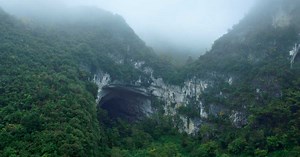 Un gouffre géant avec une forêt à l'intérieur découvert en Chine
