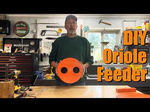 DIY Oriole Feeder | Building a Homemade Baltimore Oriole Bird Feeder