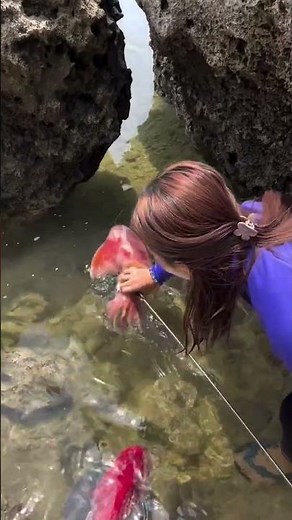 Giant Squid Catch in Shallow Water! 🦑 (Unbelievable Spear Fishing) viralvideos