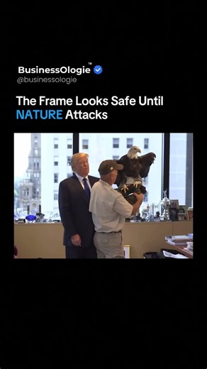 BusinessOlogie ™ on Instagram: "What was meant to be a routine photoshoot turned into a moment no script could ever plan. In a split second, a bald eagle spread its wings and lunged forward, breaking the calm and catching everyone off guard. The scene is a reminder that no matter how controlled the setting looks, nature never follows human rules. Power, instinct, and unpredictability collided without warning. It wasn’t chaos. It was hierarchy being quietly reasserted. Some moments don’t need wor