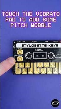 Stylosette Introduced