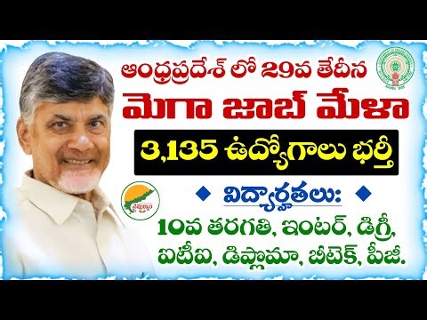 ఏపీలో 29వ తేదీన మెగా జాబ్ మేళా నిర్వహణ.. 3,135 ఉద్యోగాలు భర్తీ | Mega Job Fair 2025