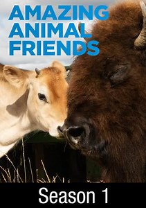 Amazing Animal Friends: Born To Be Different