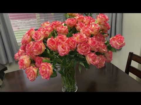 80 Artificial Roses Review [Flowers that never die - Pick Your Favorite Color]
