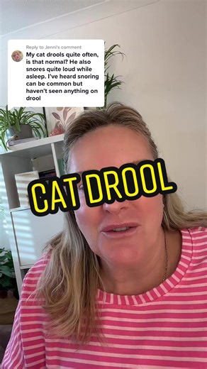 Why Does My Cat Drool? Causes and Solutions