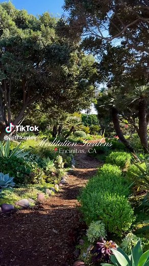 Explore the Self-Realization Fellowship Meditation Gardens