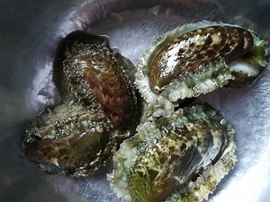 43K views · 2.6K reactions | Catch & Cook Abalone "Kapinan" Tropavibes | Fishing Brothers PH | Facebook