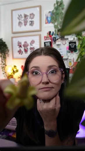 Sticker effect in Adobe Illustrator is a tried and tested design technique that’s fun and easy to create! I had a request for this reel so I thought I’d share my process for this effect. The Shape Builder tool is your secret weapon when it comes to tidying up the shapes and paths. The fonts I used are called Hello Radio Script, Nord and Huston (the number 7) from Envato Elements! I also grabbed a vector texture from the background! Have you tried this effect? #graphicdesigntiktok #graphicdesign 