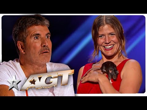 ASTONISHING Animal Auditions That The Judges NEVER Saw Coming on America's Got Talent!
