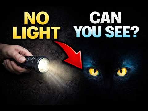Can You See Without Light? 😳 (Dark Experiment)