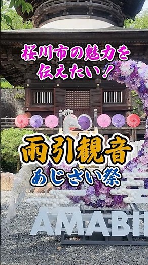茨城県桜川市の魅力を伝えたい！あじさいで有名な雨引観音のあじさい祭り。夜にはライトアップされます