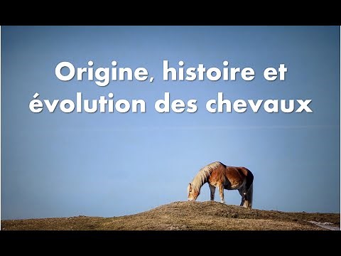 🐴 🏇 Origin, evolution and history of the horse
