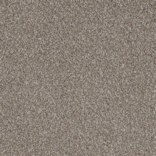 Reviews for Home Decorators Collection Westchester II - Toasty - White 60 oz. Polyester Texture Carpet - Installation Required | Pg 3 - The Home Depot