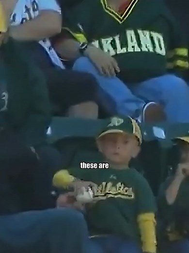 Funniest MLB Fan Moments You Can't Miss