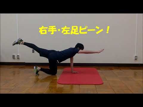 特別支援教育「体幹トレーニング」