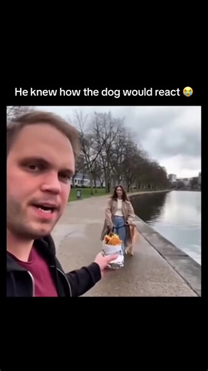 Dog Reacts in Heartwarming Way to Pond Surprise