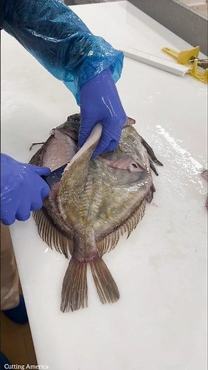 Outstanding Big Monk Fish Filleting Live || #shorts