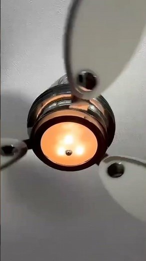 Fanimation Ceiling Fan
