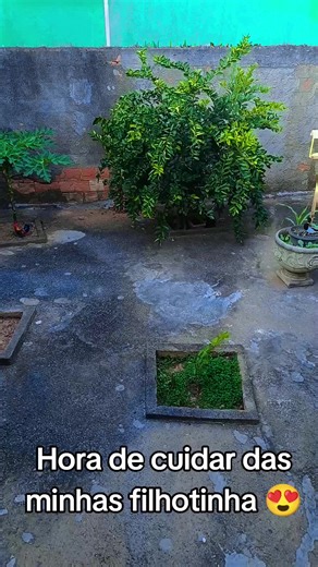 hora de cuidar das minhas filhinhas#dance #danilogentili #marcelobboy #viralizar #viralizarnotiktok