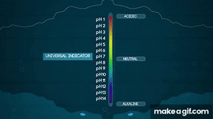 What Is The pH Scale | Acids, Bases & Alkalis | Chemistry | FuseSchool on Make a GIF