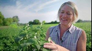 Standard Process Emphaplex - Respiratory System Supplement for Antioxidant Support - for Cellular Energy Support & Nervous System Health - 90 Capsules (45 Servings)