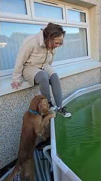 Woman Falls Through Frozen Pool While Testing the Ice