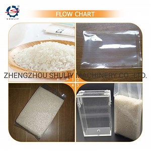 [Hot Item] Factory Price Vacuum Rice Grain Brick Bag Vacuum Packing Machine