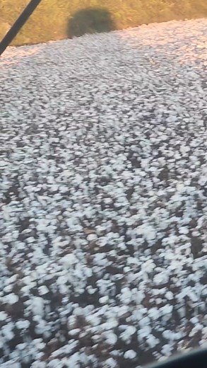 Rollin | Gary Rogers