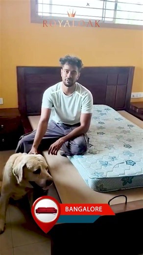 Happy Customer Review | Royaloak Mourya Queen Size Bed with Hydraulic Storage