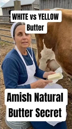 Amish Never Buy Butter Before Checking This! 🧈 #amish #health #usa #wellness #grocery #butter