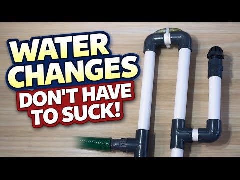 The Constant Siphon: Hands-Free Aquarium Water Changes. Easiest method.