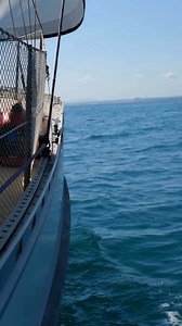 2.9K views · 41 reactions | A reminder of the magic of sailing. What are the most special parts of sailing for you? What keeps you coming back? Clips by @sailingelburro  | PredictWind | Facebook