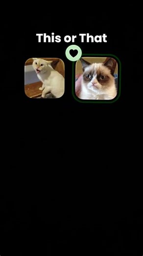 Rip grumpy cat💎🗿 #helpmemakethismakesense