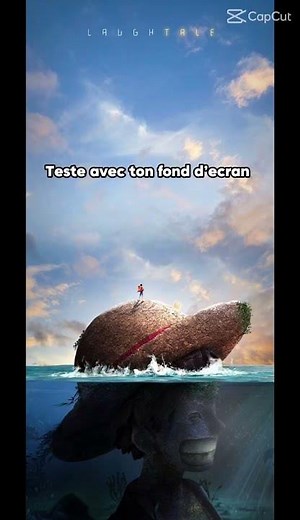 Fond d’écran One pièce