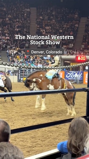 1.6K reactions · 28 shares | Saddle up! The National Western Stock Show returns to Denver January 11th-26th for its 120th year. 鸞 With over 15,000 animals, rodeos, bull riding, trick roping, and dancing-horse shows, it’s a full Western celebration! https://bit.ly/4id6M0X | Visit Colorado | Facebook
