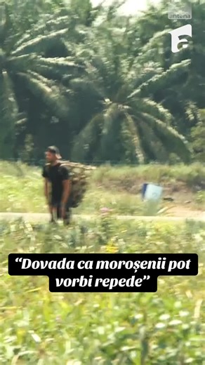 Moroșenii vorbesc repede: Dovada din Asia Express