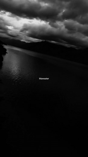 Maneater Song Lyrics | Nelly Furtado | Speed Up