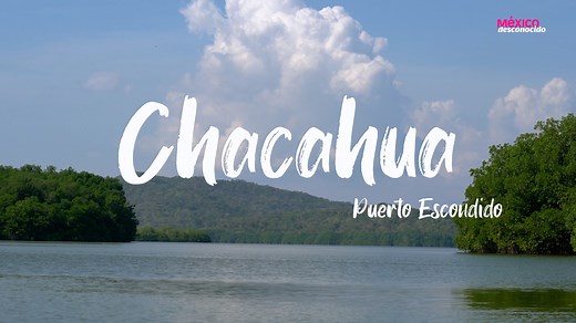 Las lagunas de Chacahua son un parque nacional lleno de naturaleza, color y vida. Si quieres conocerlas, aquí te decimos cómo. 👉🏽https://www.mexicodesconocido.com.mx/las-maravillosas-lagunas-de-chacahua.html | México Desconocido