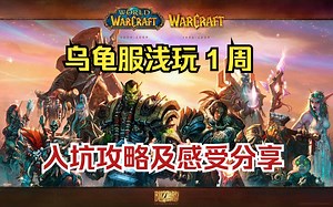 [T-WOW] 乌龟服 HC 到底怎么样？30级牧师游玩体验！ by. Millyn