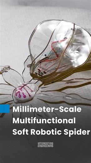This tiny soft robotic spider can walk, change color, and even permanently change shape! How does it work? 🎥 Wyss Institute | Interesting Engineering