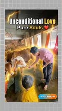 The True Meaning of Karma Yoga 🙏 | Unconditional Love ❤️#krishnaseva #soulsevasharnam