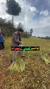 Visiting Chinese Crops | CWD