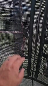 2.6K views · 3.3K reactions | Stay hidden, stay ready.  This camo blind features 3 full see-through mesh panels, noise-free sliding windows, and a 270° wide-angle view — giving you the edge without giving away your position.  Sets up in just 3 minutes ⏱️. Spacious, silent, and built to last.  | TideWe | Facebook